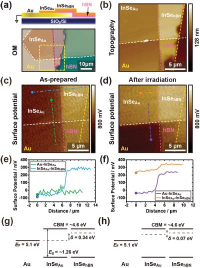 A Schematic Illustration Of The Insehbn Heterostructure On Au