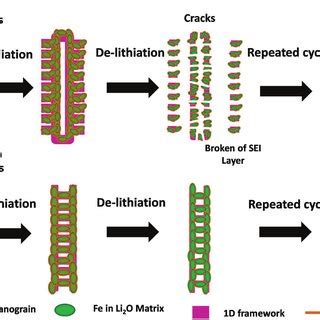 Schematic Illustration Of Morphology Evolution And Sei Formation Of