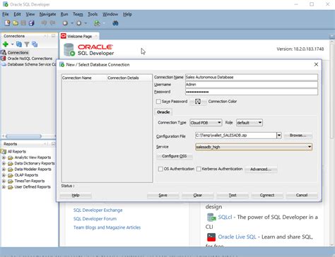 Connect With Sql Developer And Create A View For Data Visualization