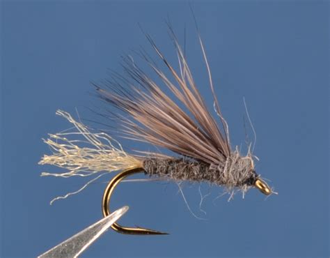 X Caddis Gray Olive Dette Flies