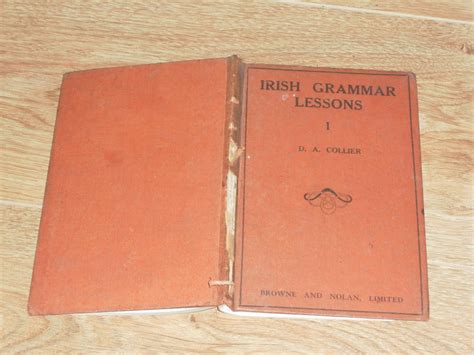 Irish Grammar Lessons With Vocabulary and Excercises for Use in Schools ...