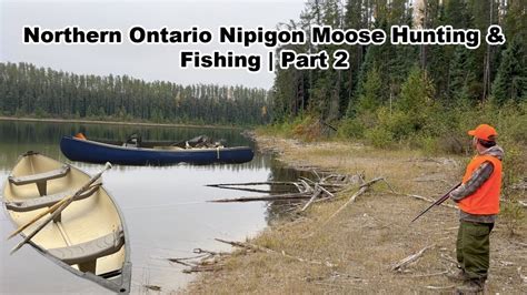 Northern Ontario Nipigon Moose Hunting And Fishing Part 2 Youtube