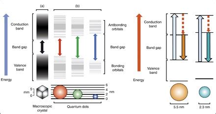 Quantum Dot Sensors - Nanotechnology