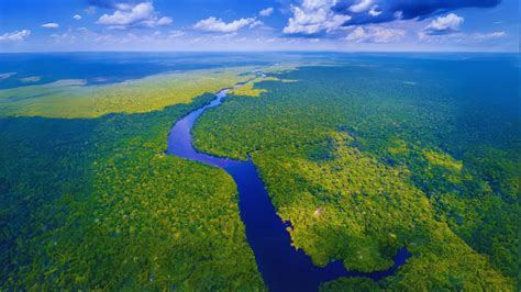 Top 10 Longest Rivers In The World Nile Amazon And More Dumdaar