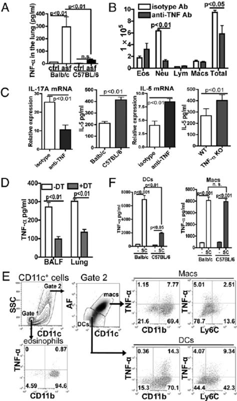 TNF α is important for determining strain speci fi c pulmonary