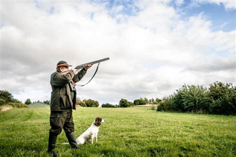 30 Intense Hunting Photographs - Stockvault.net Blog