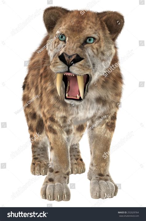 3d Digital Render Standing Smilodon Saber Ilustración De Stock