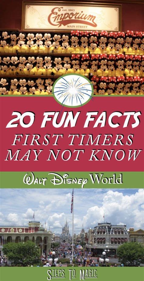 Things First Time Disney Visitors Don T Know Disney World Trip