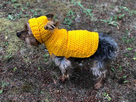 Small Crochet Dog Hoodie Pattern – Crochet