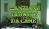Anziane Godono Da Cane Full Original Version Free Porn Bb Xhamster