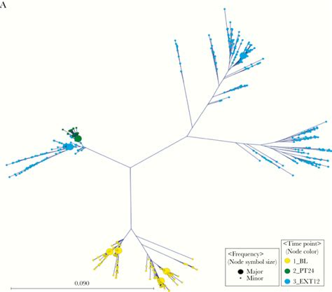 A Phylogenetic Analysis Of Hepatitis C Virus Transmission Relapse And