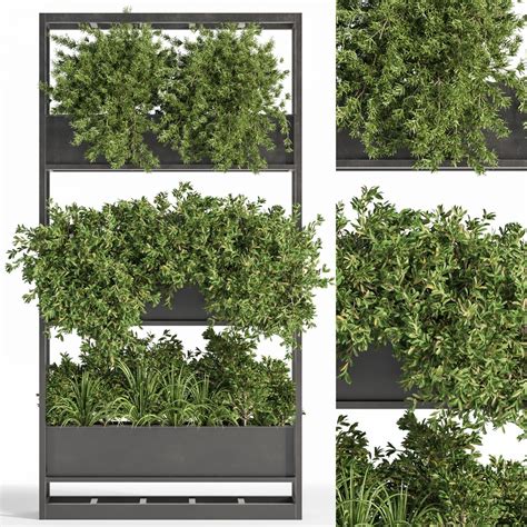 Indoor Plant Set 24 3D Model For VRay Corona