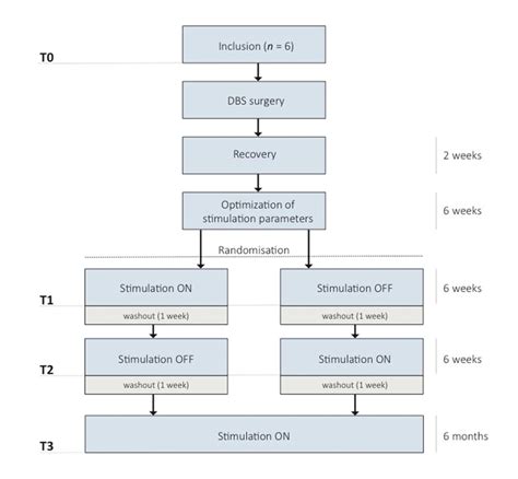 overview  study design  scientific diagram