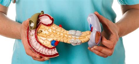 Cancer De Pancreas Sintomas Y Signos