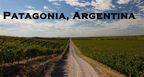 Patagonia Wine Region, Argentina - Social Vignerons