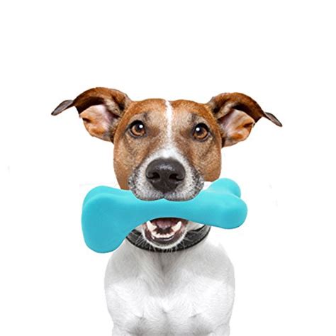 Aizara Durable Dog Bone Chew Toy, Regular Floatable Dental Bone Dog ...