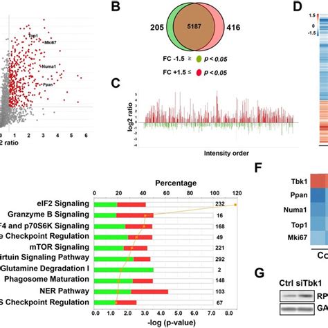 Ingenuity Pathway Analysis identifies top canonical pathways associated ... 