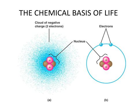 Ppt The Chemical Basis Of Life Powerpoint Presentation Free Download