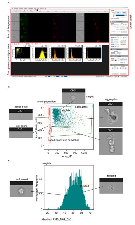 Simultaneous Imaging And Flow Cytometry Based Detection Of Multiple