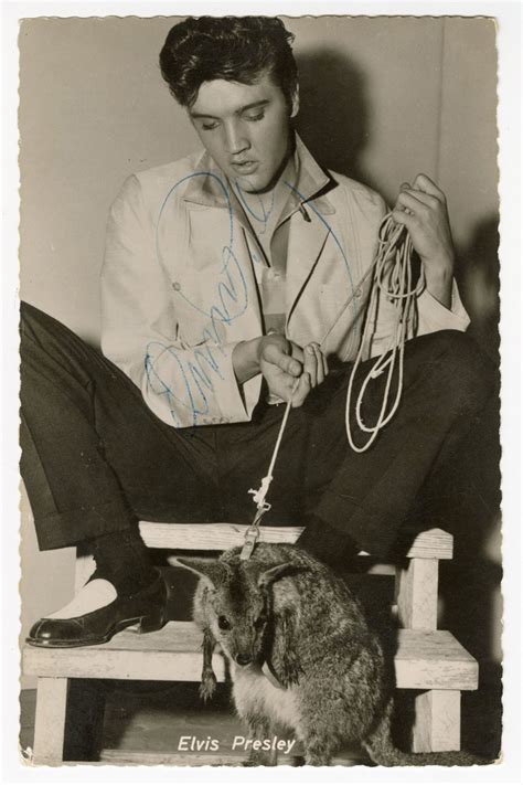 Lot Detail Elvis Presley Signed Postcard Real