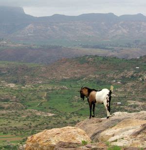 Plateau | Definition, Geography, Landform, Types, & Examples | Britannica