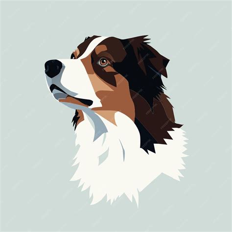 Premium Vector | Dog tricolor australian shepherd vector illustration