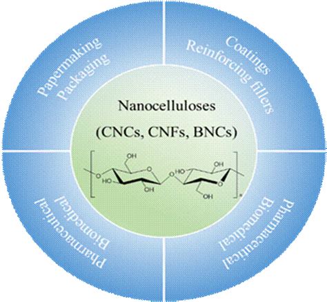 Fig 1 Applications Of Nanocelluloses