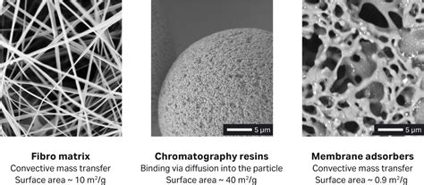 Scaling Fibro Chromatography Cytiva