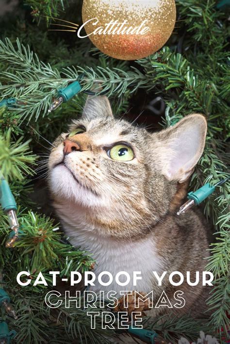 How To Cat Proof Your Christmas Tree Artofit