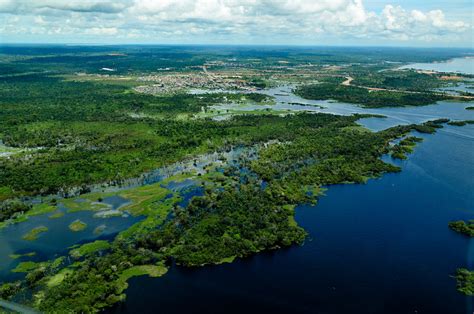 Amazon Rainforest Reforestation - The Borgen Project