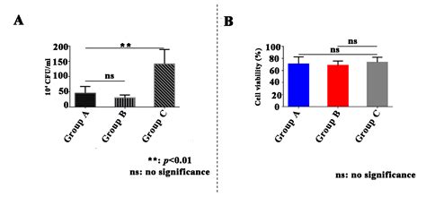 IJMS Free Full Text Fabrication Of Multilayered Biofunctional