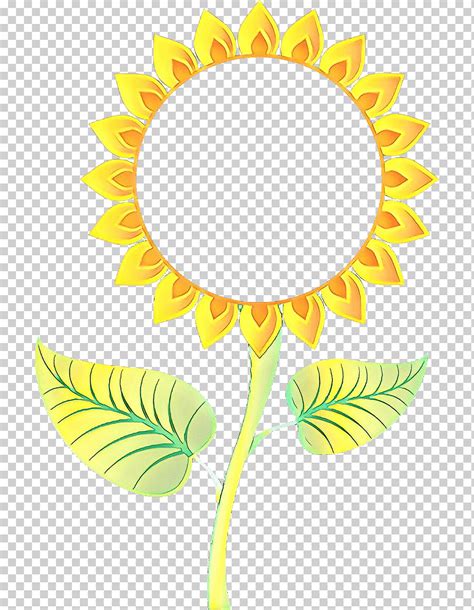 Girasol Dibujos Animados Amarillo Hoja Planta Png Klipartz