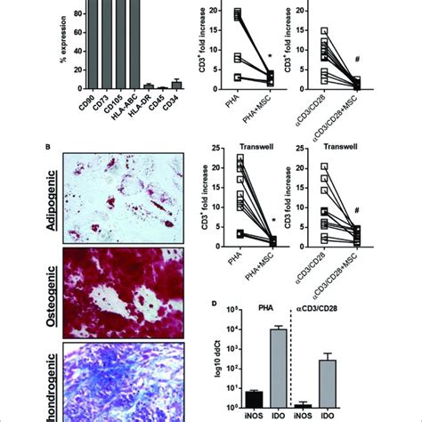 Go Term Enrichment Analysis By Biological Process Enrichment