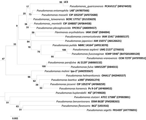 Comparative sequence analysis of 16S rRNA gene from isolate LE3 and ... 