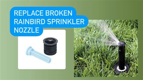 Replace Rainbird Sprinkler Head Nozzle Youtube