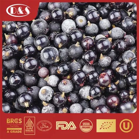 chinese supplier iqf fruits freeze frozen black currant  kosher