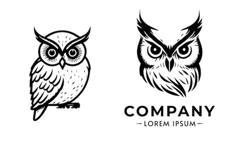 Owl Illustration Vector