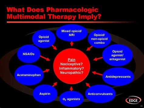 Application Of Multimodal Therapy For Acute Pain An Interactive