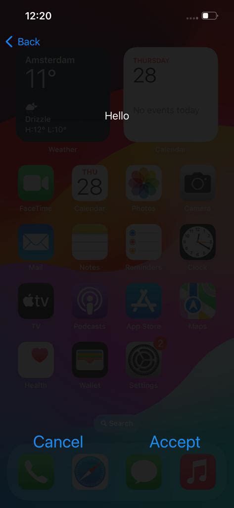 Fuzzy main screen : r/iphone