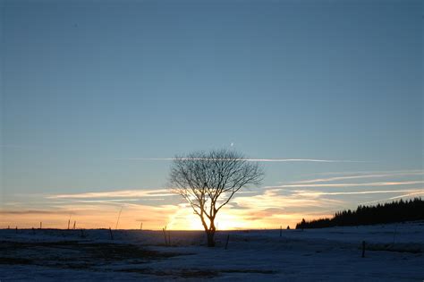 MÉZENC HIVER LES EYGAUX FÉVRIER 2007 8 TOMOZYK BRUNO Flickr