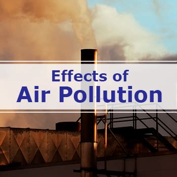 Effects of Air Pollution | Video, Handout, and Worksheets | Made By ...