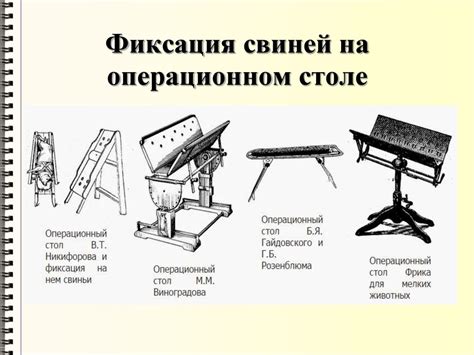 Фиксация и обездвиживание животных - презентация онлайн