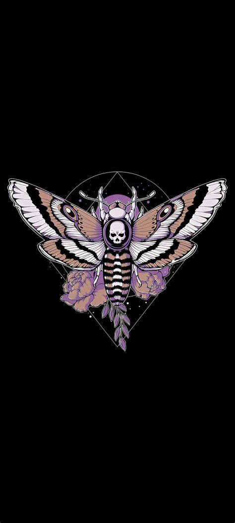 100 Moth Aesthetic Wallpapers