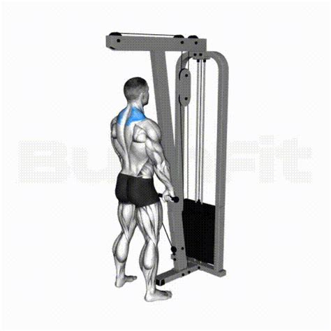 Cable Shrug Smash Your Limit Burnfit