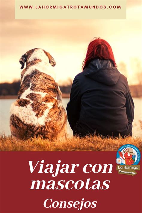 Consejos Para Viajar Con Mascotas Viajes Viajes Fotos Y Mascotas