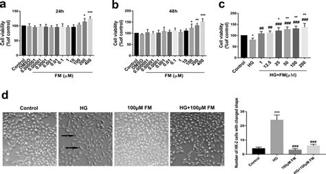 Effects Of Fm On Viability Of Hk 2 Cells Mts Assay And Cell