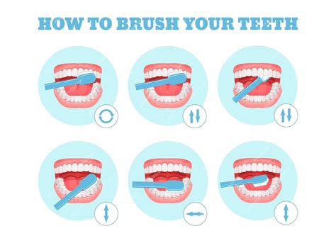 Esquema Paso A Paso Instrucciones Sobre Cómo Cepillarse Los Dientes Correctamente Infografía