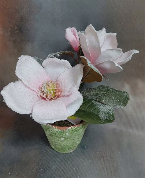 MAGNOLIA W DONICZCE SZTUCZNA ROŚLINA OŚNIEŻONA BOŻE NARODZENIE 32 cm