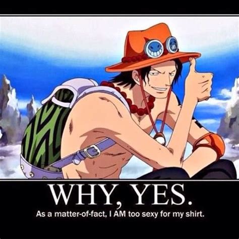 Instagram Photo By Thats Onepiece Via Ink One Piece Funny