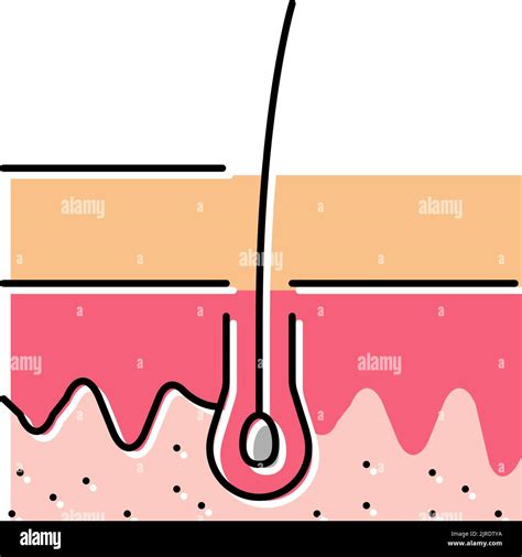 Ilustración De Vector De Icono De Color De Pelo En Crecimiento